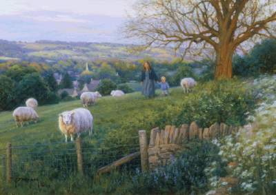 Cotswold Evening