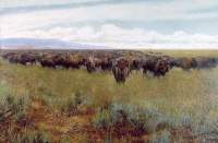 Buffalo Hunters II