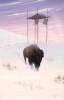 Lone Buffalo