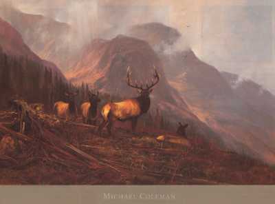 Bookcliffs Elk