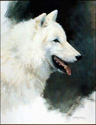 White Wolf Study