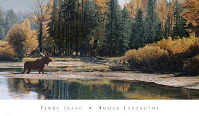 Moose Landscape
